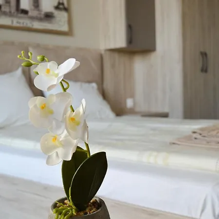 Riverview - Free Private Parking بلوفديف